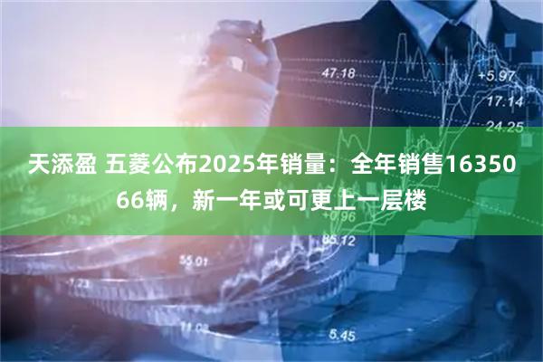 天添盈 五菱公布2025年销量：全年销售1635066辆，新一年或可更上一层楼