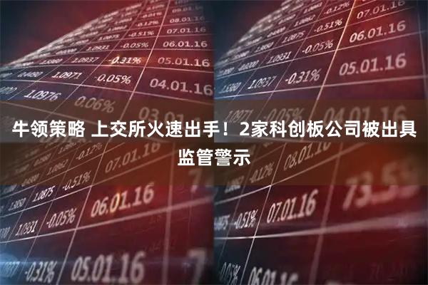 牛领策略 上交所火速出手！2家科创板公司被出具监管警示