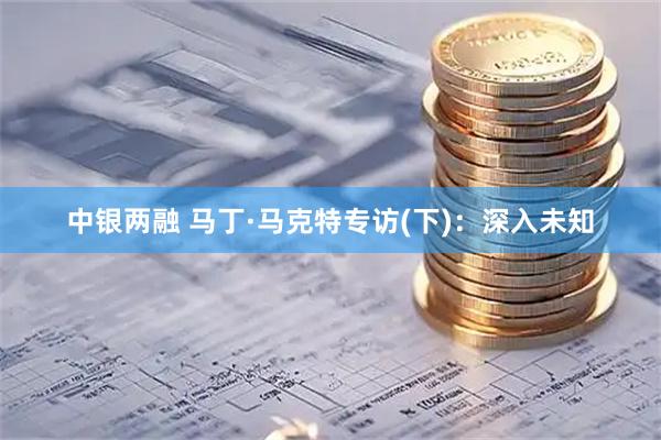 中银两融 马丁·马克特专访(下)：深入未知
